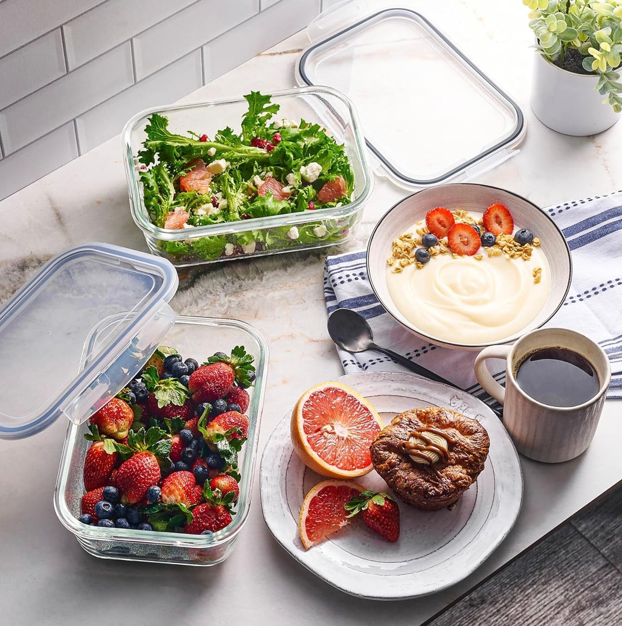 TidyLiving™ 32-Piece Borosilicate Glass Food Storage Container Set